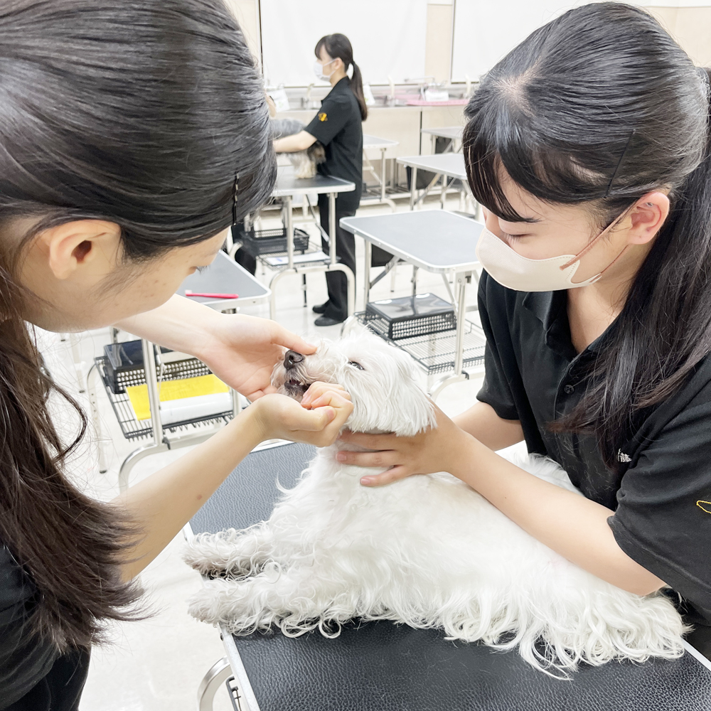 ２年生の看護実習